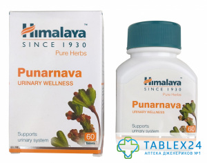 Punarnava